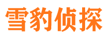 仙桃找人公司